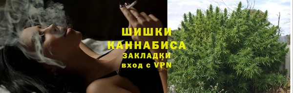 скорость Бронницы