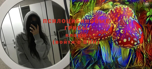 скорость Бронницы