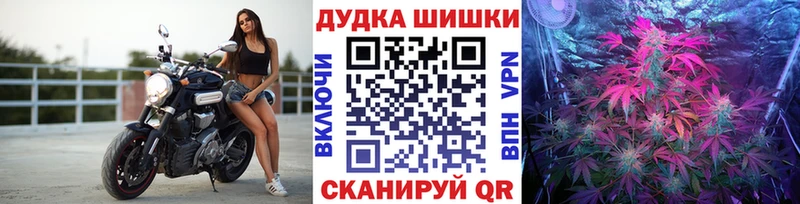 МАРИХУАНА семена  Черняховск 